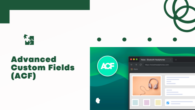 Advanced Custom Fields (ACF): The Complete Guide to Customizing WordPress