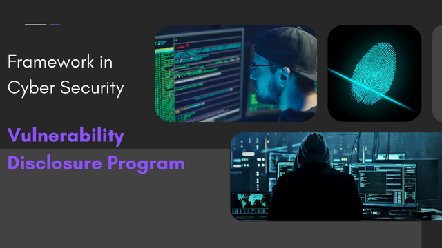 VDP - a Framework in Cyber Security Vulnerability Disclosure Program