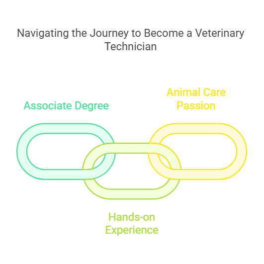 how many years of school to be a vet tech