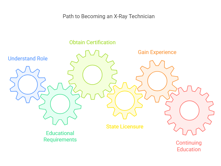 x ray tech how to become