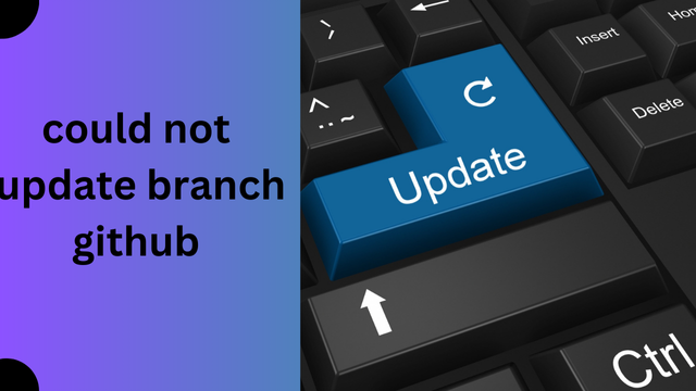 could not update branch github