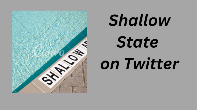 Shallow State on Twitter