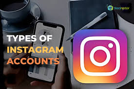 Dynamic 5 Types of Instagram Business Accounts