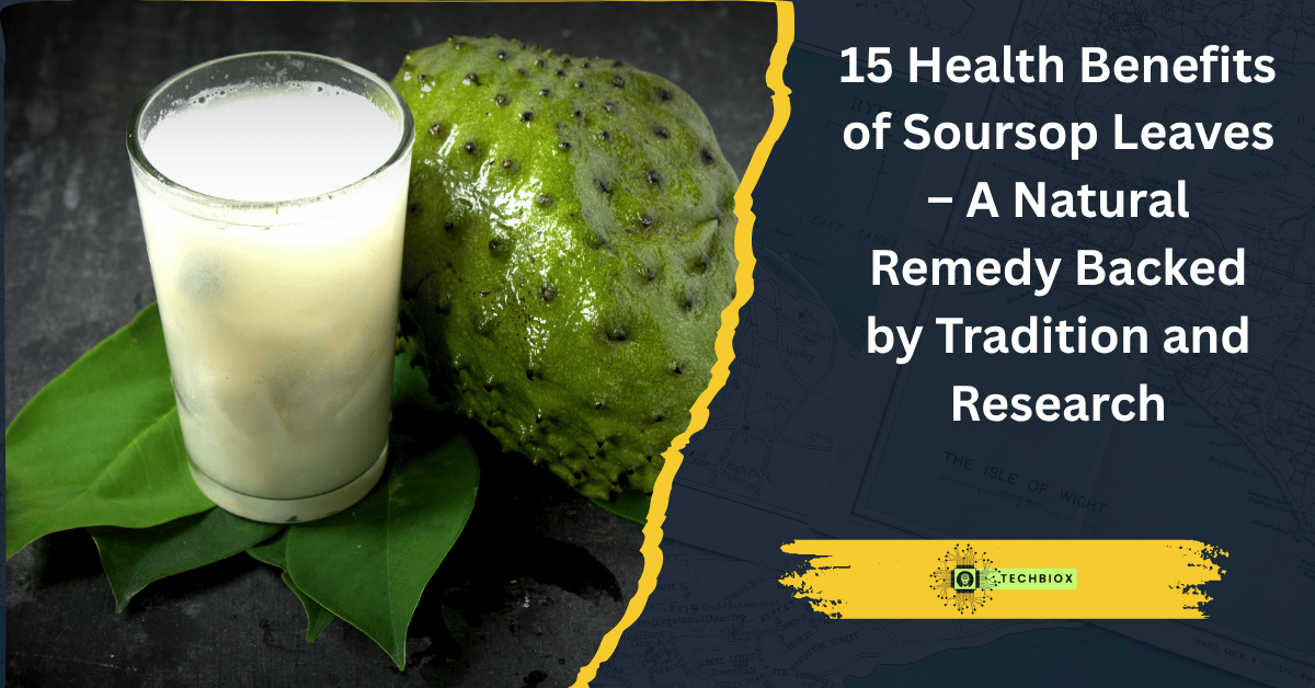 Read more about the article 15 Health Benefits of Soursop Leaves – A Natural Remedy Backed by Tradition and Research